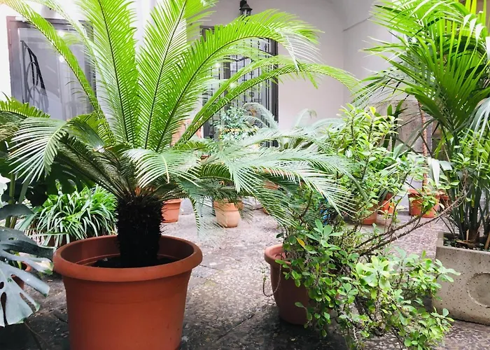 Fiumara Bed & Breakfast 4*