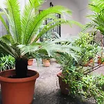 Fiumara Отель типа 
