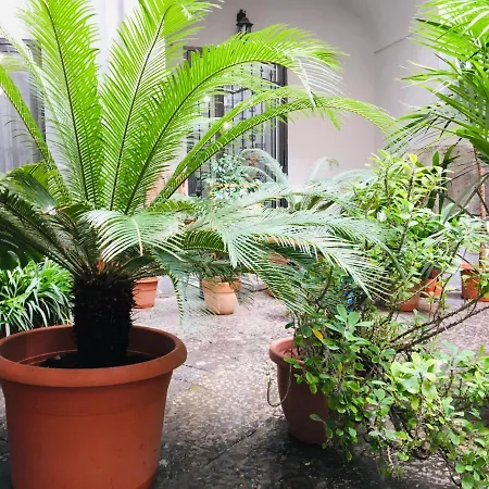 Fiumara Bed & Breakfast 4*