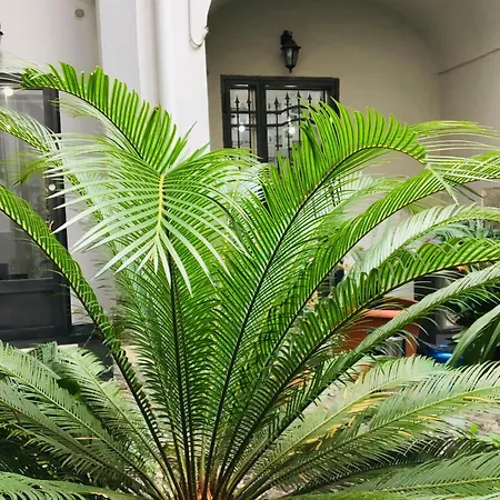 Fiumara